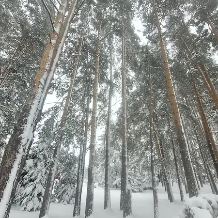 Апартаменты Royal