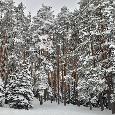 Royal Апартаменты *