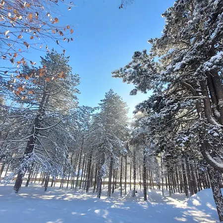 Апартаменты Royal *